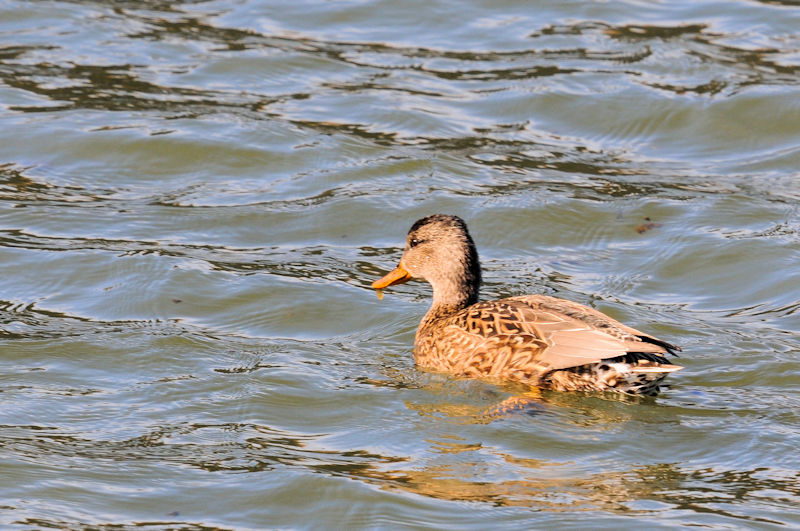 IJVKiTԁj @J@s@2021/02/27@Photo by Kohyuh