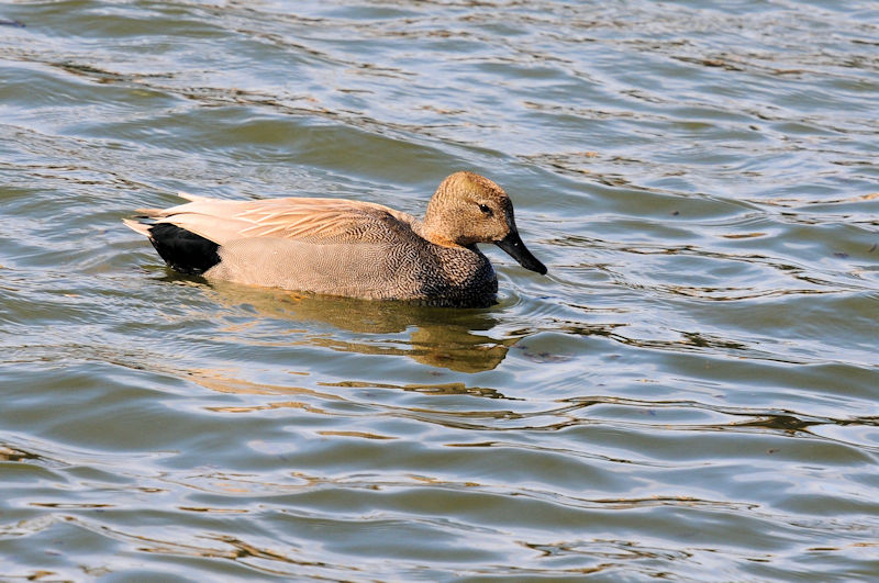 IJVKiTԁj @J@s@2021/02/27@Photo by Kohyuh