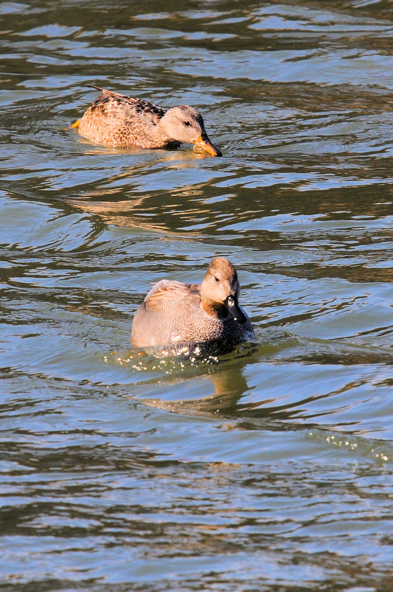 IJVKiTԁj @J@s@2021/02/27@Photo by Kohyuh