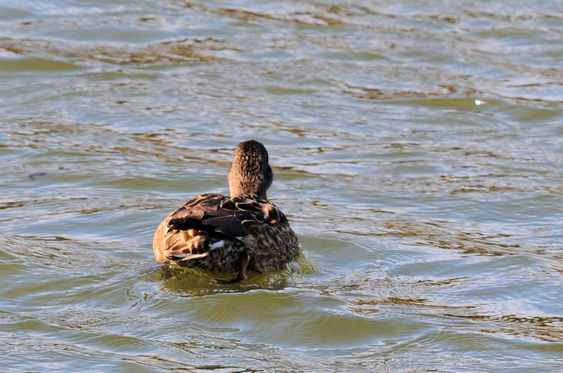 IJVKiTԁj @J@s@2021/02/27@Photo by Kohyuh