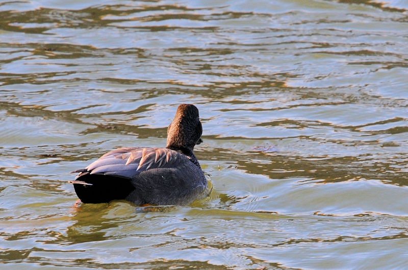 IJVKiTԁj @J@s@2021/02/27@Photo by Kohyuh