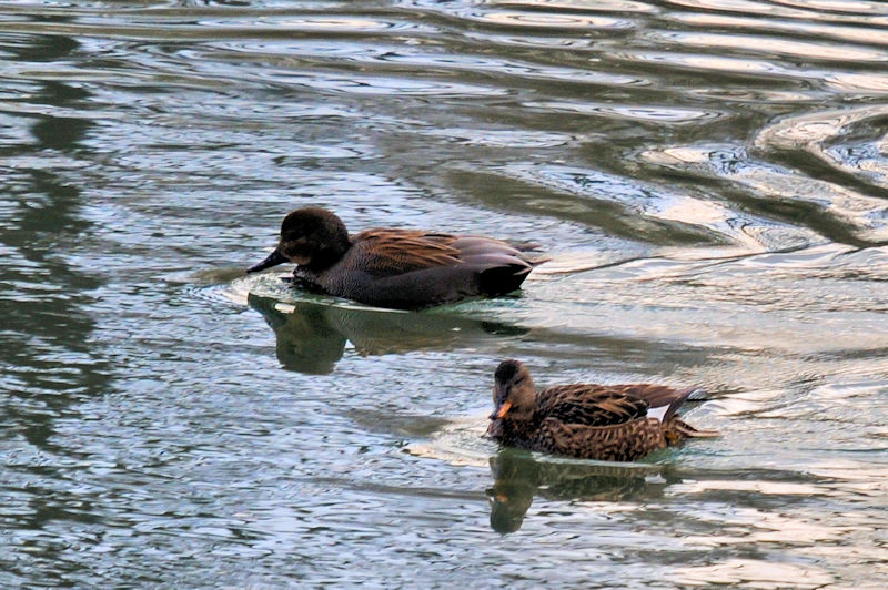 IJVKY @킫R^@2022/01/19@Photo by Kohyuh