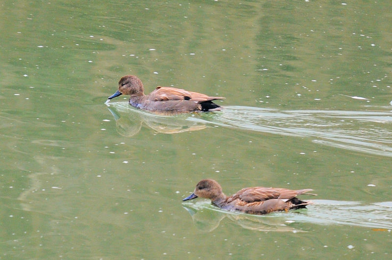 IJVK  @킫R^@2022/01/19@Photo by Kohyuh