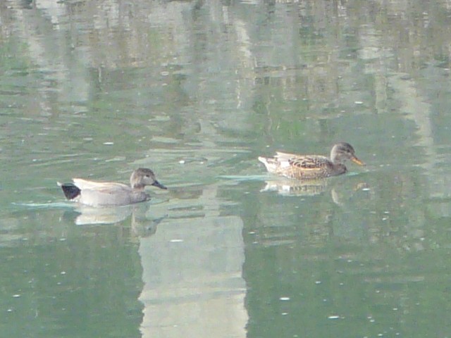 @ IJVK @@s@w@@2008/01/19@Photo by Takemoto