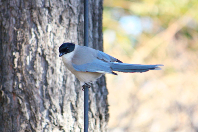 B IiK@@@2014/01/14@ Photo by Manda