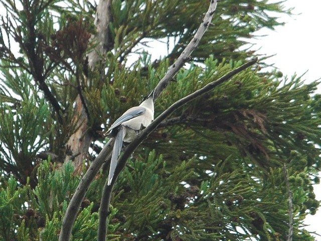 @ IiK @@쌧@2009/07/18@ Photo by Takase