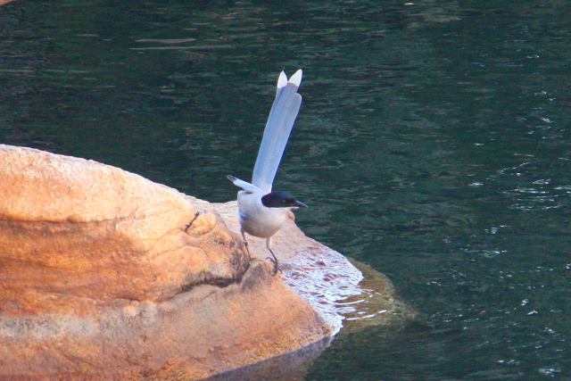 C IiK@@@2014/01/14@ Photo by Manda