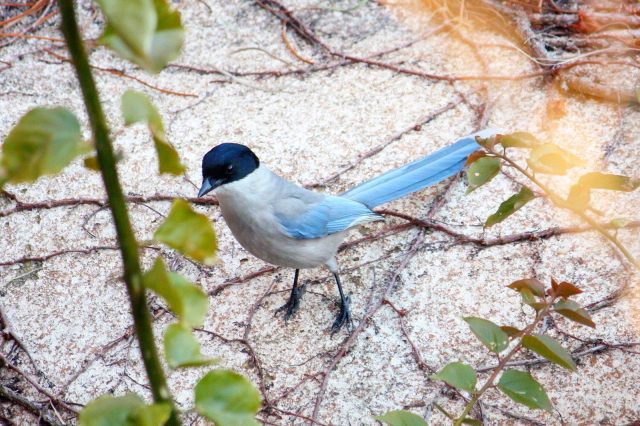 D IiK@@@2014/01/14@ Photo by Manda