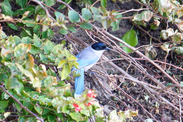 E IiK@@@2014/01/14@ Photo by Manda