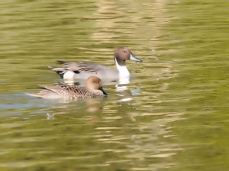 IiKK@ @ԔLOߌΒn@s 2018/11/03@Photo by Kohyuh