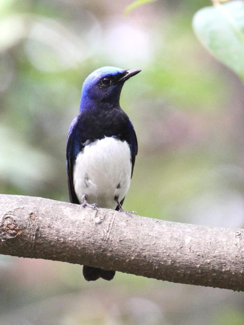 E II @@s@@2013/04/14@Photo by Manda