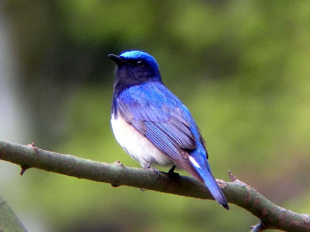 @ II @@s@jR@2006/04/18@Photo by Takayama