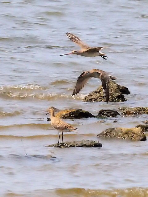 II\nVVM@@iT-3j@썶݁@s@2014/04/27@Photo by Kohyuh