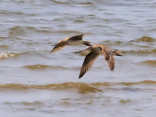 II\nVVM@@iT-5j@썶݁@s@2014/04/27@Photo by Kohyuh