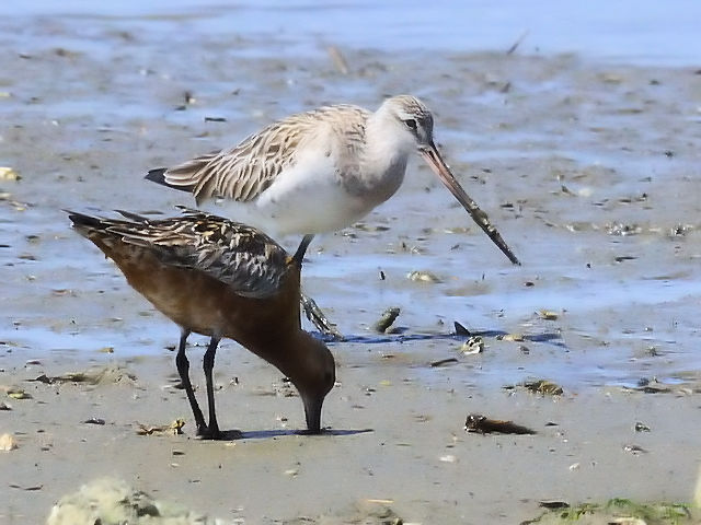 B II\nVVM@@iFĉH  F~Hj@썶݁@s@2010/04/28@Photo by Kohyuh