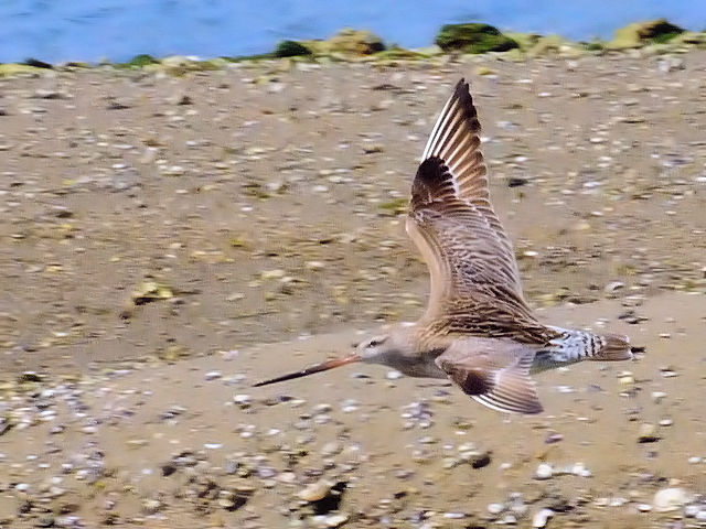 D II\nVVM@@썶݁@s@2010/04/28@Photo by Kohyuh