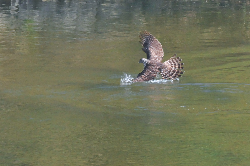 II^J@c iU-2j@@s@ؒÐ@2014/11/28@Photo by Takase