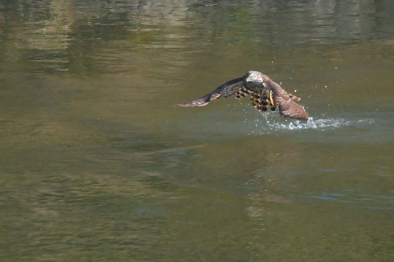 II^J@c iU-3j@@s@ؒÐ@2014/11/28@Photo by Takase