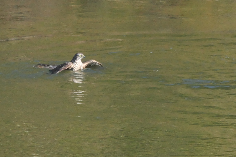 II^J@c iU-5j@@s@ؒÐ@2014/11/28@Photo by Takase