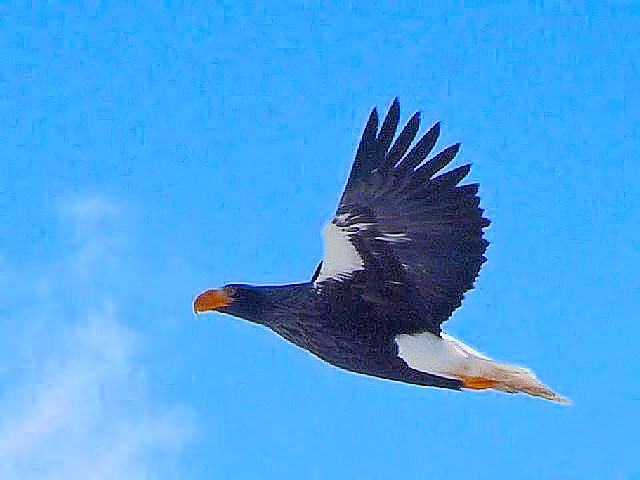 E IIV@ @P@kC@ 2008/02/04@Photo by Kohyuh