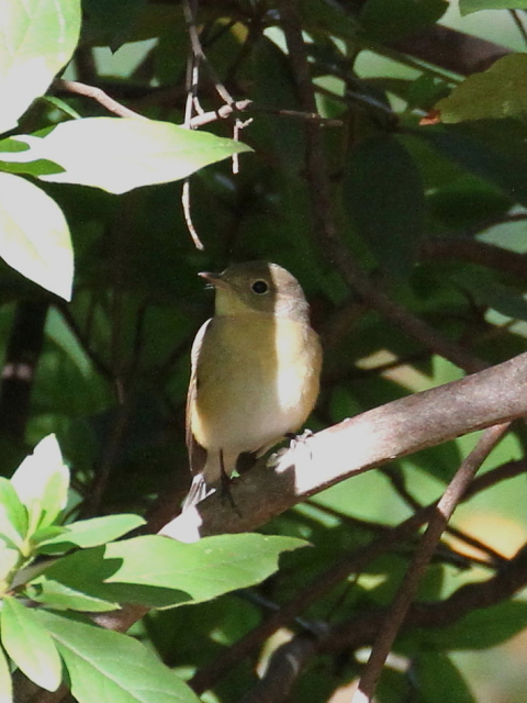 B IWr^L @@s@@013/11/30@ Photo by Manda