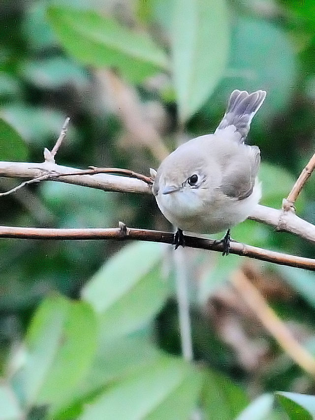 IWr^L @iS-3j@@썶݁@s@2016/03/02@ Photo by Kohyuh