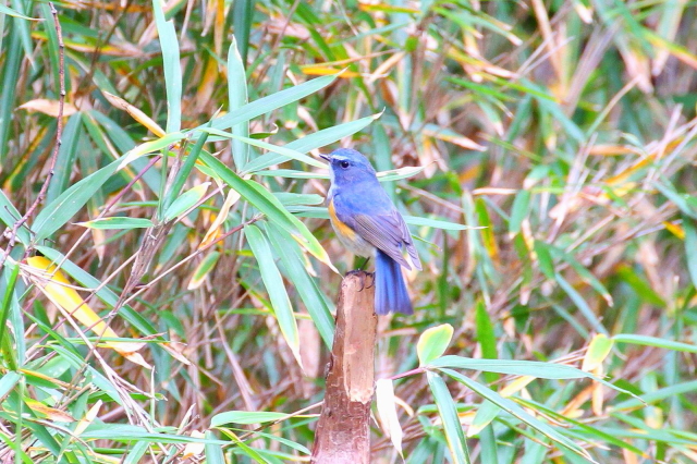 r^L @@iT-1j@Rcr@s@2014/01/05@ Photo by Manda