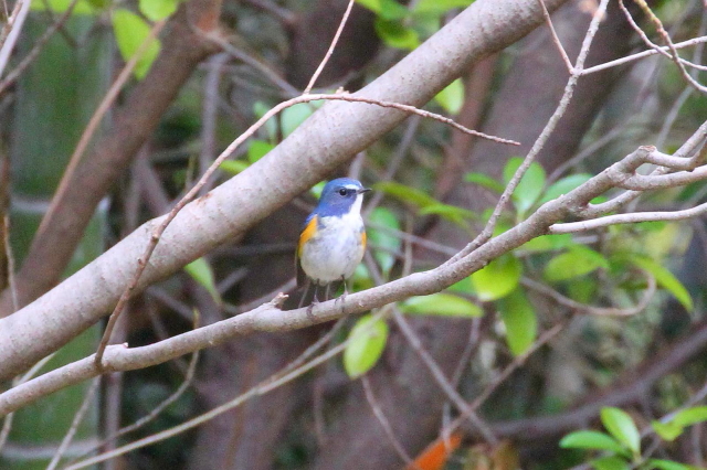 r^L @@iT-2j@Rcr@s@2014/01/05@ Photo by Manda