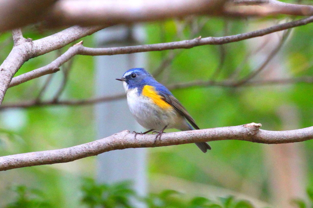 r^L @@iT-4j@Rcr@s@2014/01/05@ Photo by Manda