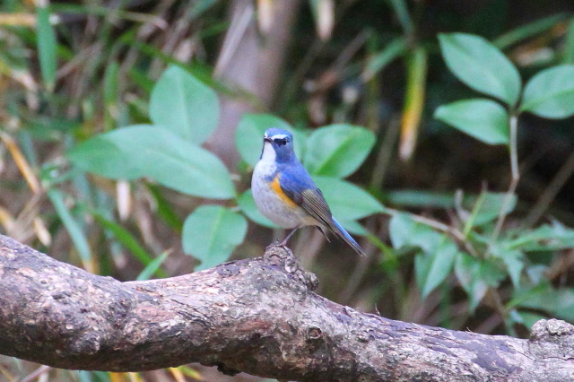 r^L @@iT-5j@Rcr@s@2014/01/05@ Photo by Manda