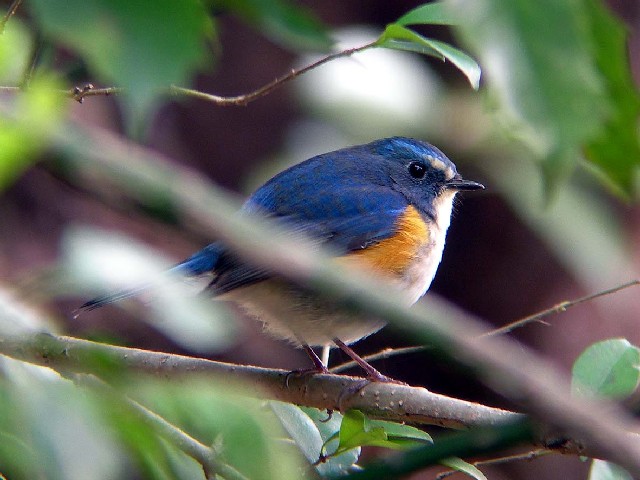 @ r^L@@@ s@jR@2006/04/18@Photo by Takayama