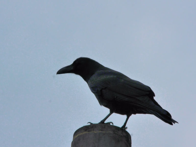 ELEnVugKXiRԁj@Xь@ꌧ@2023/02/09@Photo by Kohyuh