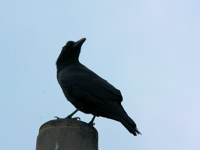 ELEnVugKXiRԁj@Xь@ꌧ@2023/02/09@Photo by Kohyuh