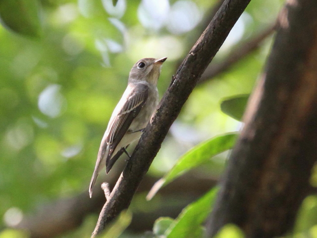 A Tr^L@@s@@2013/09/11@Photo by Manda