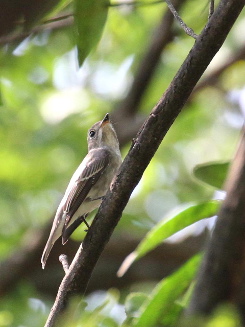 B Tr^L@@s@@2013/09/11@Photo by Manda