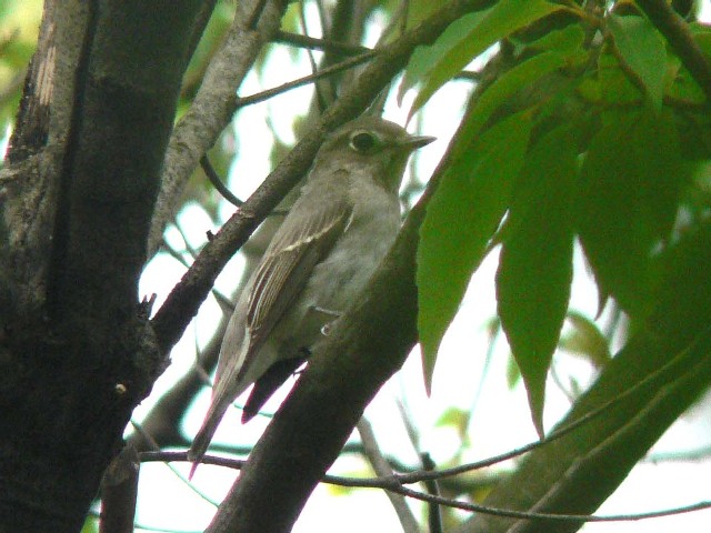 @ Tr^L@s@jR@2006/09/22@Photo by Takase