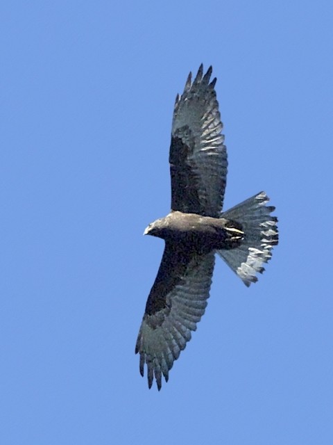 A TVo@юp@@쌧@ 2007/09/20@ Photo by Mitchao