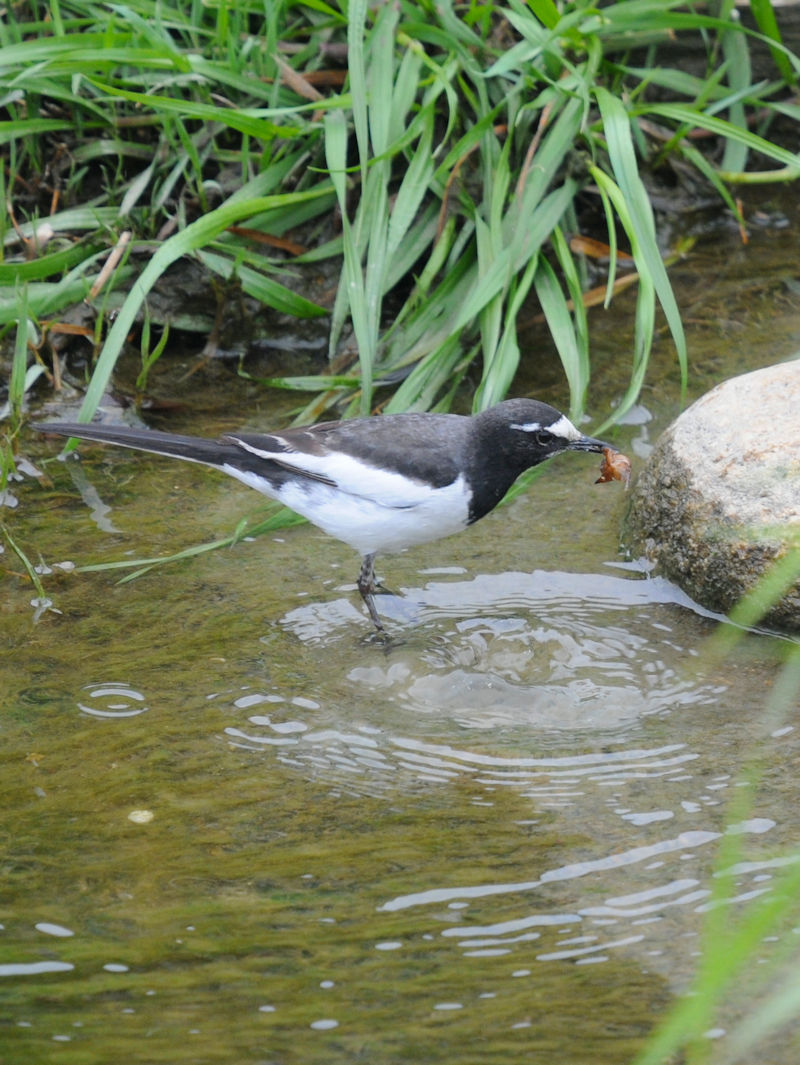 ZOZLC@@D@s@2022/04/15@Photo by Kohyu