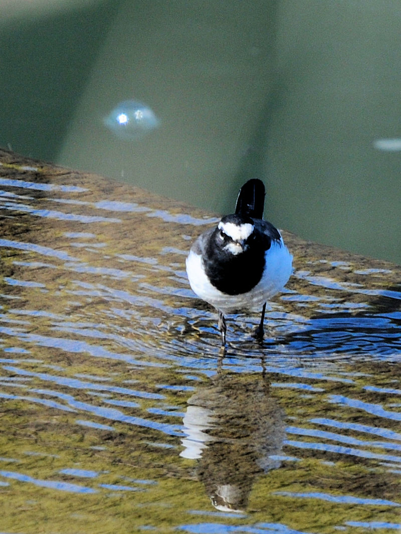 ZOZLC@@J@s@2023/01/11@Photo by Kohyuh