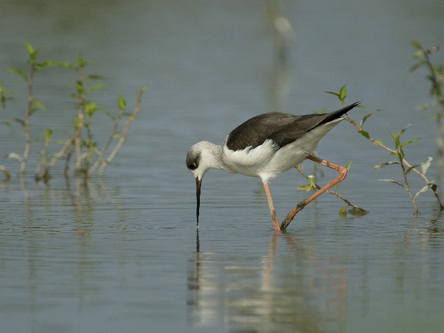 @ ZC^JVM@c@@c@s@2007/09/08@Photo by Mitchao