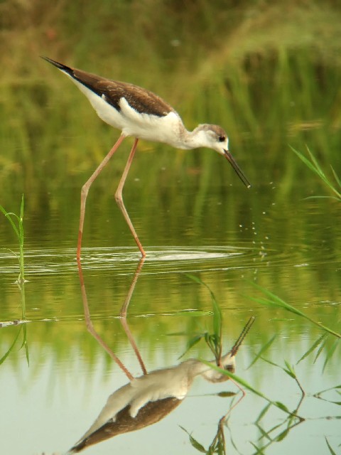 A ZC^JVM@c@@c@s@2005/08/13@Photo by Mitchao