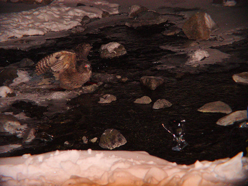 V}tNE@iR-3j@P@kC@2008/02/03@Photo by Kohyuh