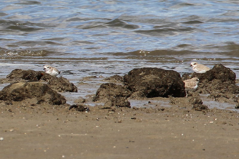 V`h@@CV]@s@2017/10/04@Photo by Manda