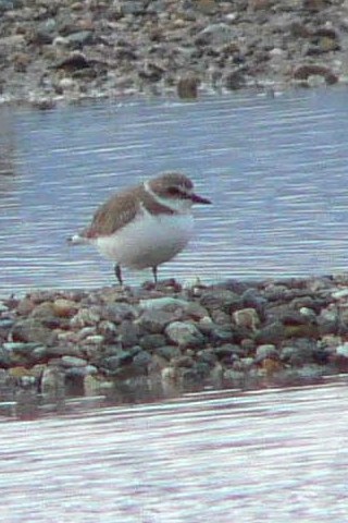 @ V`h  s@썶݁@2008/04/11 Photo by Takase