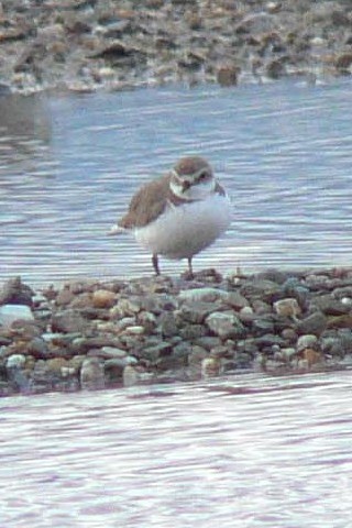 A V`h  s@썶݁@2008/04/11 Photo by Takase