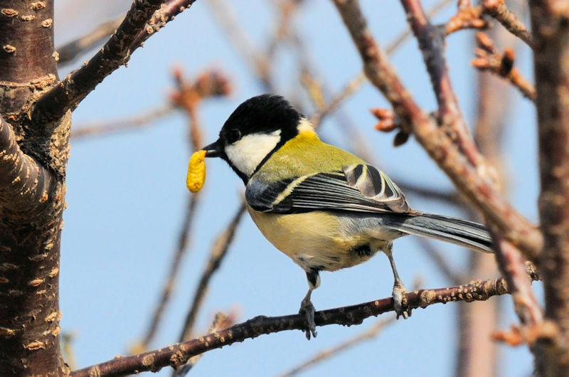 VWEJ iSԁj@J@s@2022/02/27@ Photo by Kohyuh