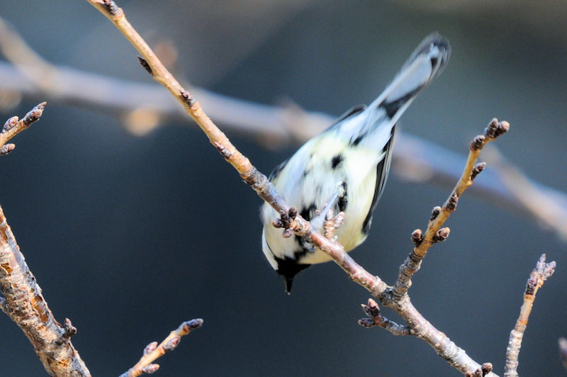 VWEJ iSԁj@J@s@2022/02/27@ Photo by Kohyuh