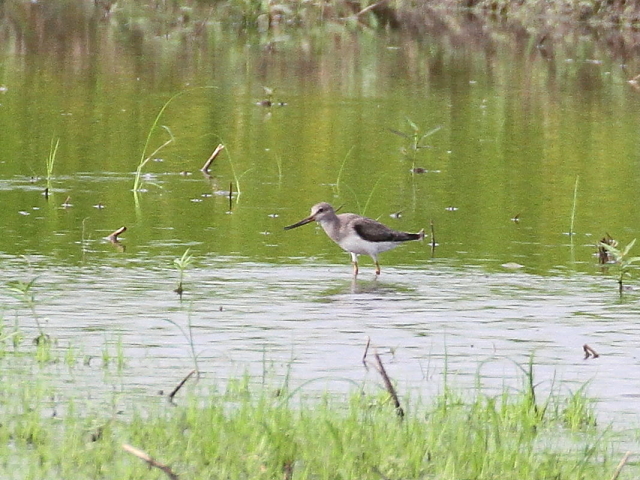 \nVVM@c@ss@@c 2014/08/27@Photo by Manda