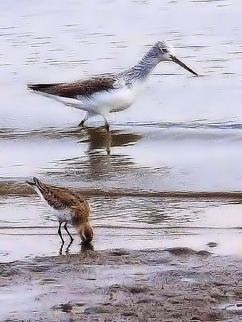 \nVVM@~H@iU-2j@er͌@F{@2010/11/16@Photo by Kohyuh