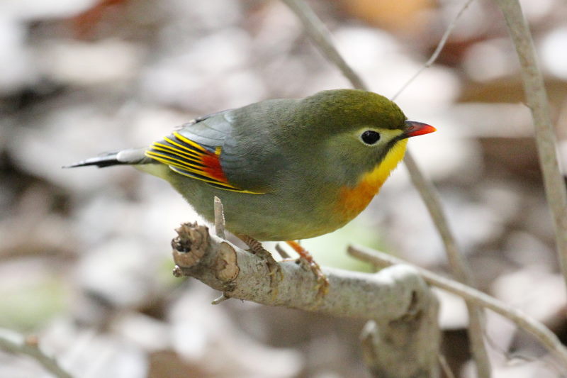 \EV`E iV-1j@@s䉑@ss@2016/03/02@ Photo by Manda